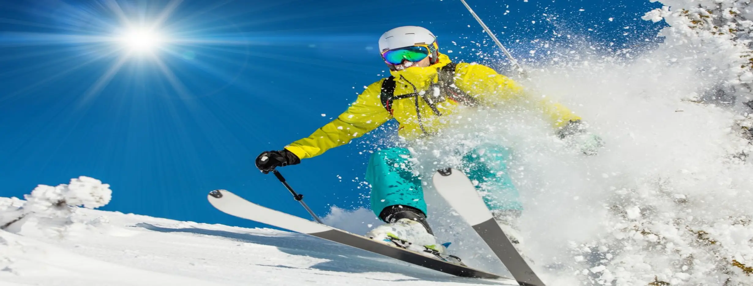 Image for Premier Skiing